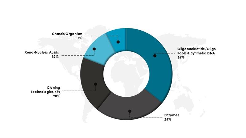 Synthetic Biology Market Share, By Product in 2024 (%)-Innovious Designs