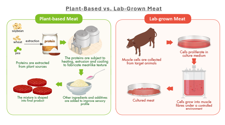 Plant-Based Meat vs. Lab-Grown Meat - Innovius Research